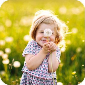 Young girl holding dried dandelion.