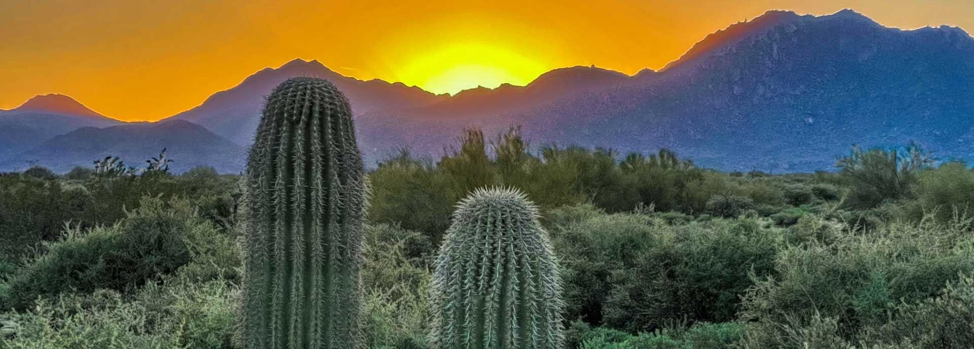 Desert scene with cactus in the forground and sunset behind mountains in the background.